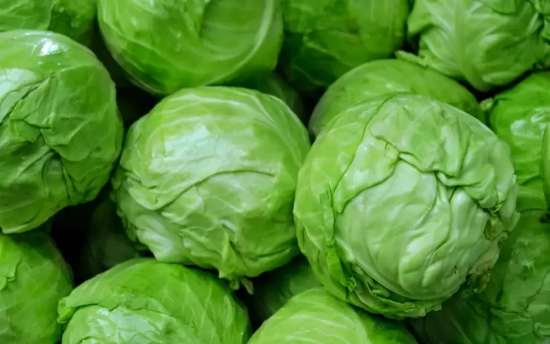 Күздегі ең пайдалы өнім