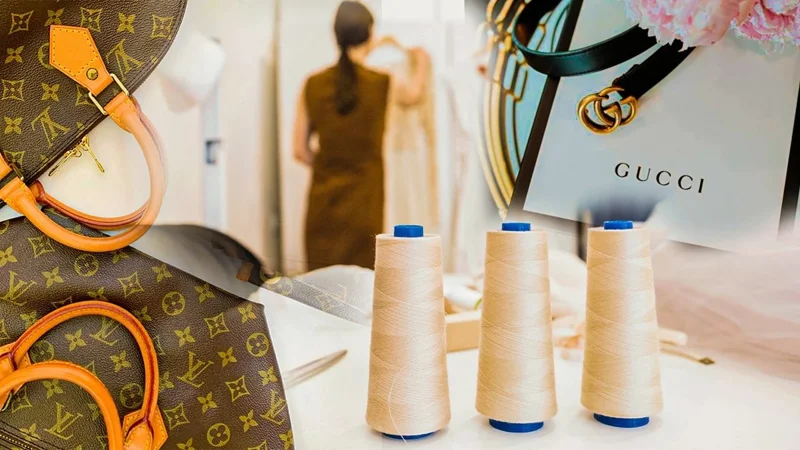 Kazakhstan’s cotton-textile cluster to join supply chain for Louis Vuitton and Gucci