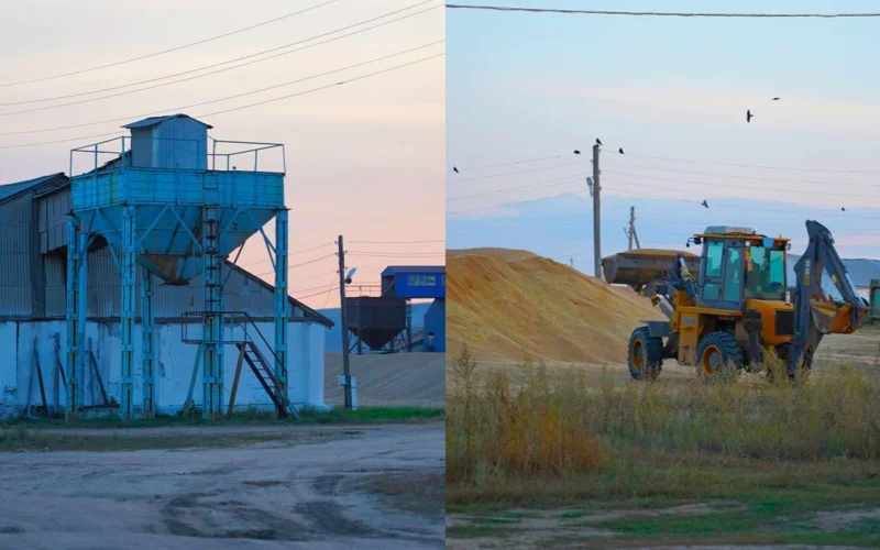 Свыше 50 тонн зерна украли из агрофирмы в Костанайской области