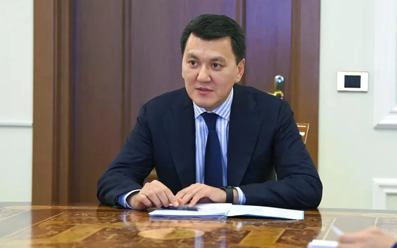 Kazakhstan's State Counselor met with heads of state analytical structures