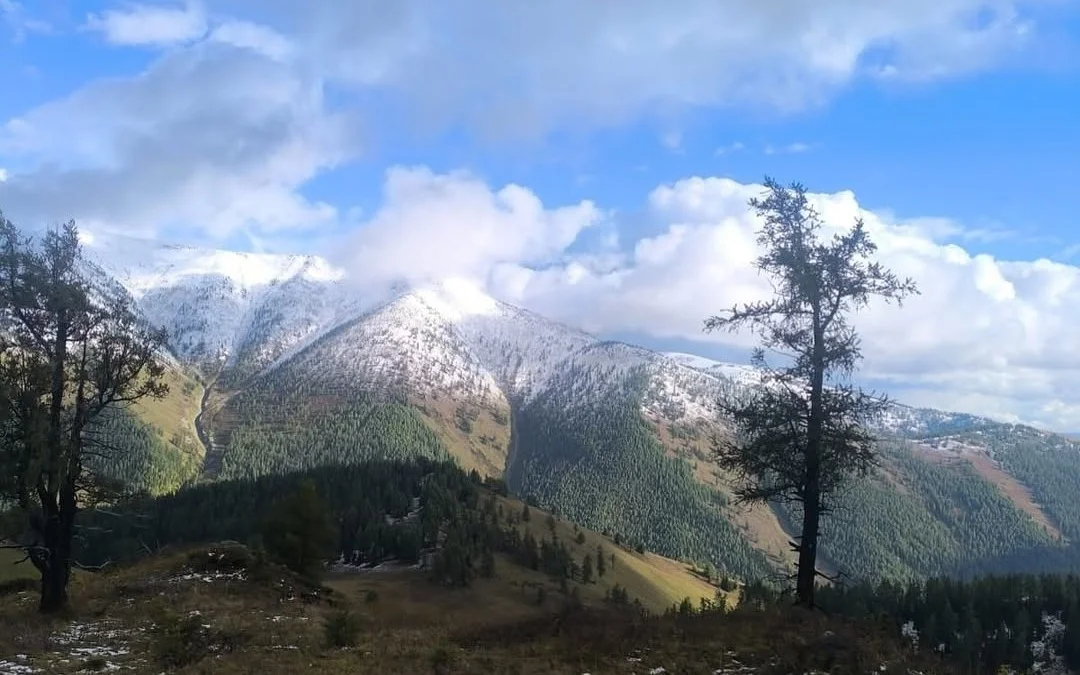 Катон-Карагайский нацпарк