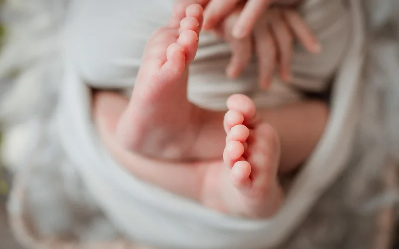 Чехия халқының саны жылдан жылға азайып келе жатыр