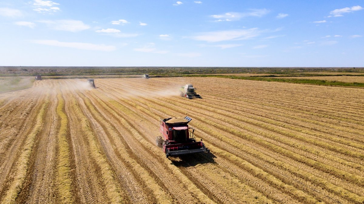 Барлық HD порно