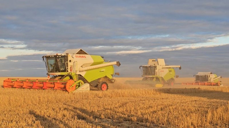 Программу по развитию племенного животноводства запустят в Казахстане Программу по развитию племенного животноводства запустят в Казахстане