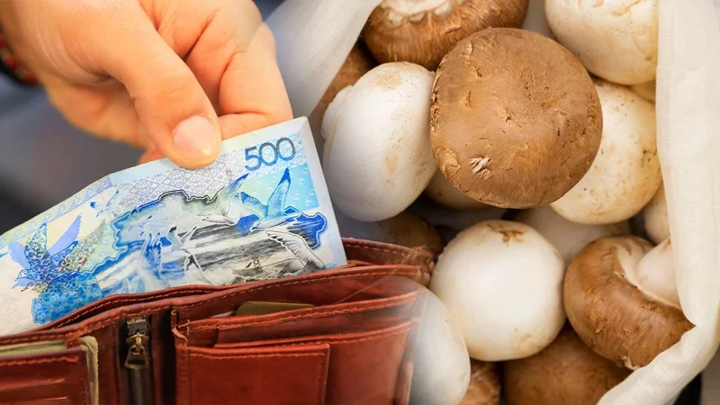 Сколько стоят грибы в городах Казахстана