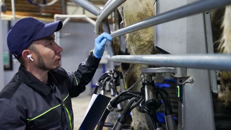 Асыл тұқымды мал шаруашылығын дамытуға бағытталған «Игілік» бағдарламасы бастау алады