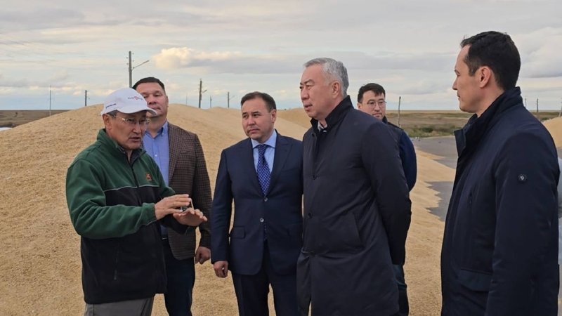 Программу по развитию племенного животноводства запустят в Казахстане Программу по развитию племенного животноводства запустят в Казахстане