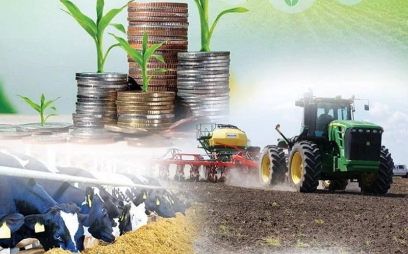 Казахстан увеличил производство продуктов питания и переработку сельхозпродукции