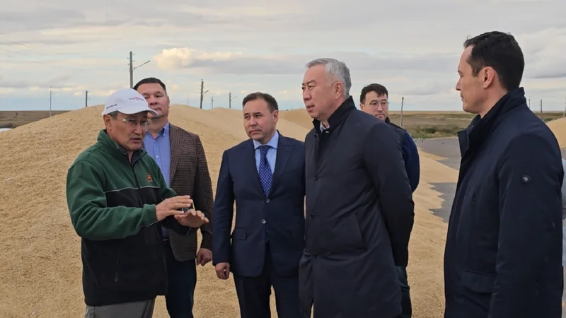 Асыл тұқымды мал шаруашылығын дамытуға бағытталған «Игілік» бағдарламасы бастау алады