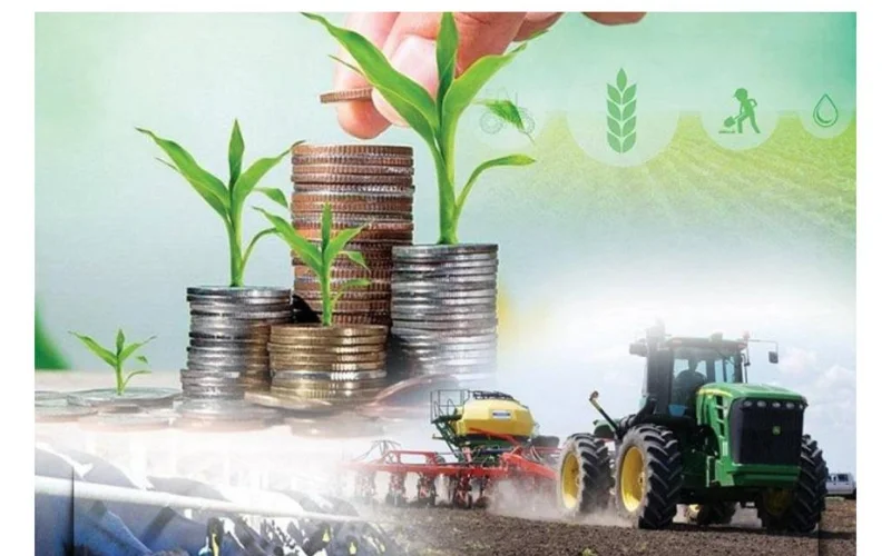 Ауыл шаруашылығының жалпы өнім көлемі 3,4%-ға өсіп, 3,6 трлн теңгеге жетті