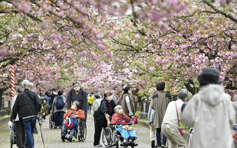 Share of population aged 65 or older hits record high 29.4 percent: gov't