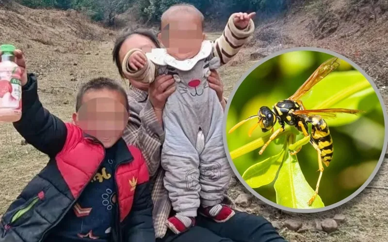 Qytaıda mektep oqýshysy men 2 jasar balany ara shaǵyp óltirdi