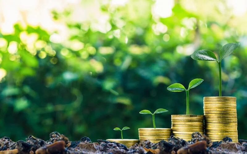 Uzbekistan unveils new investment vision for Khorezm region
