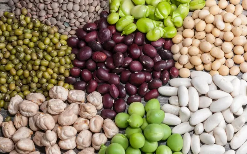 өмірді ұзартатын өнім