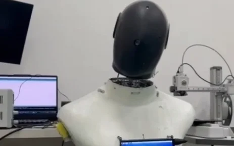 robot