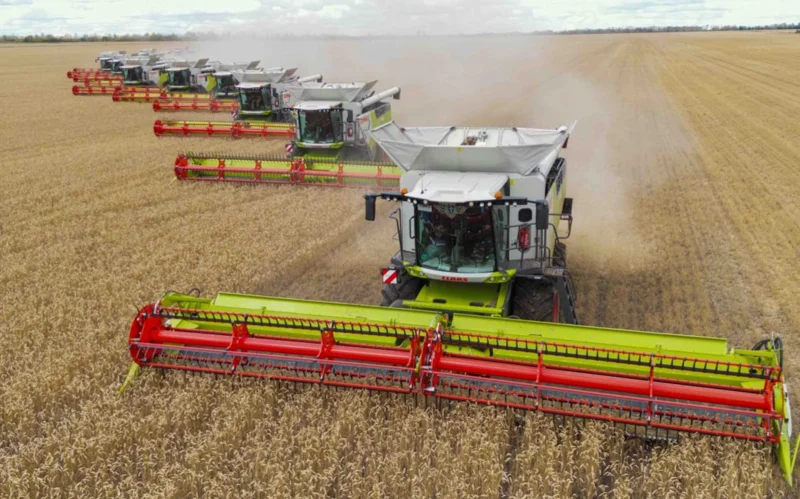 егін науқаны