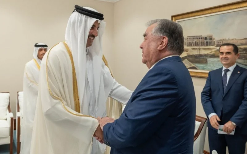 Tajik President meets with Emir of State of Qatar Sheikh Tamim bin Hamad Al Thani