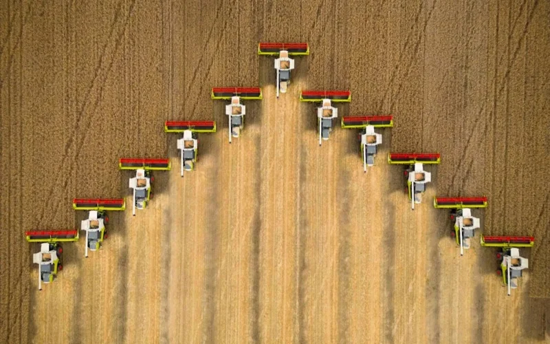 Harvesting 