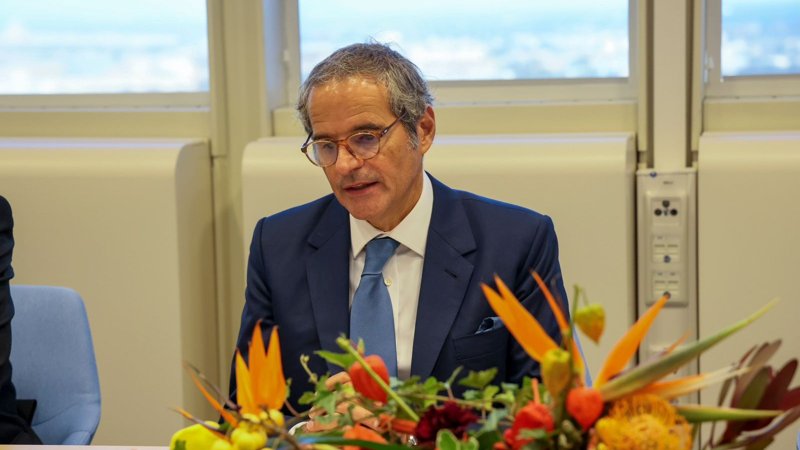 AEHA Bas dırektory Rafael Grossı