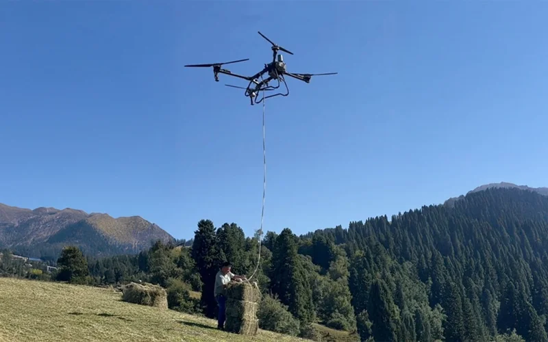 Қытайдың Нарат жайлауындағы пішеншілер шөпті дрондармен тасып жүр