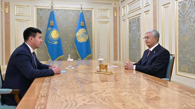 Глава государства принял президента Казахстанской федерации бокса Шахмурата Муталипа