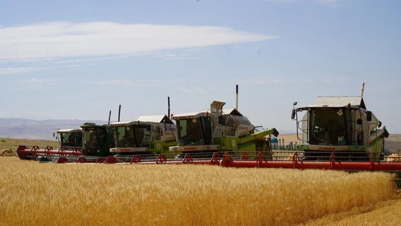 12.7 mln tons of grain harvested in Kazakhstan