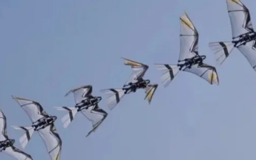 RoboFalcon2.0 роботы