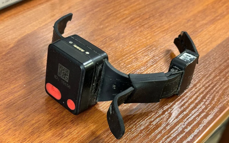 электронды білезік 