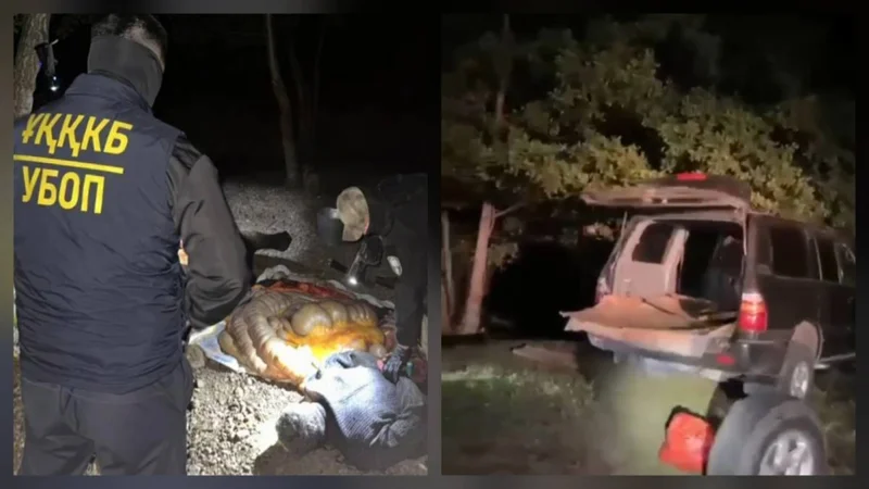 Ақтөбе облысында мал ұрлығына күдіктілер қылмыс үстінде ұсталды