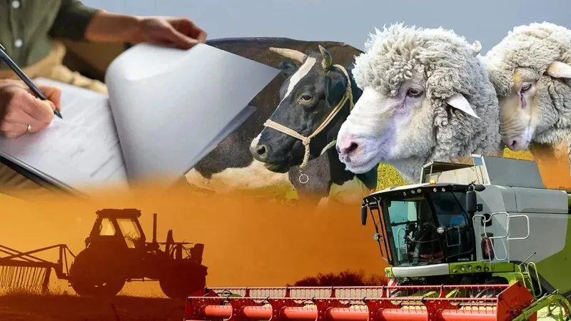 қишлоқ хўжалиги