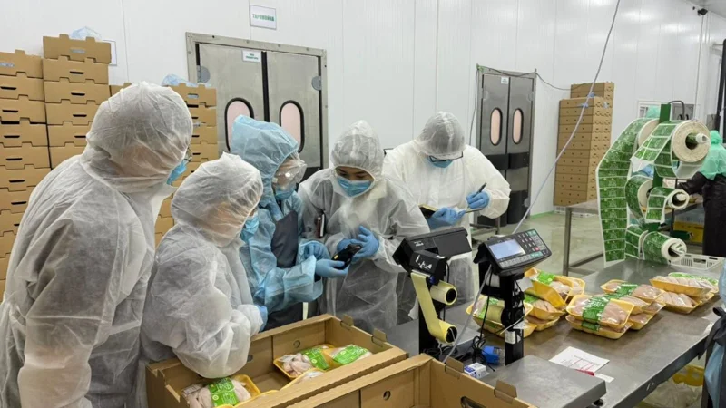 АШМ өнімдерін инспекциялау