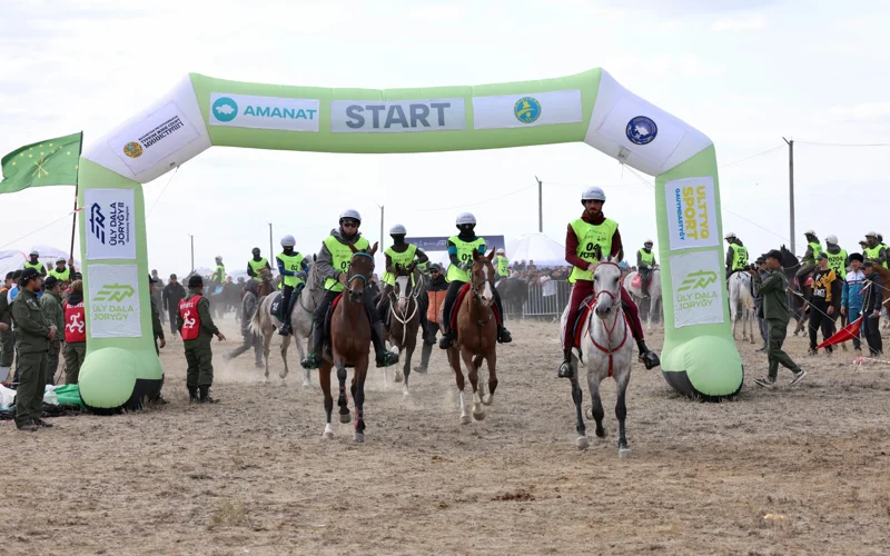 кони, марафон