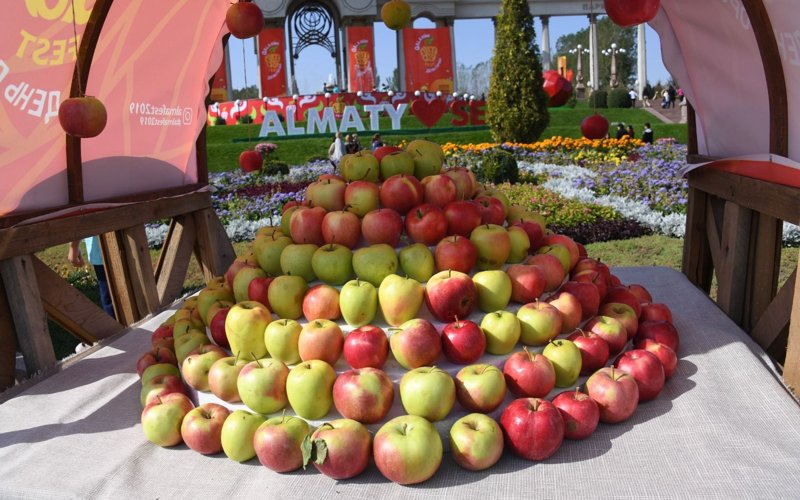 яблоки, апорт