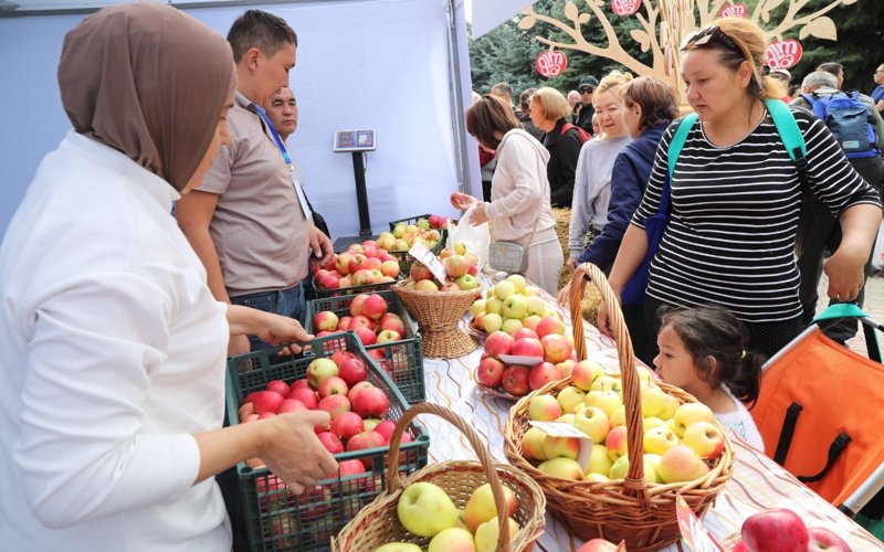 яблоки, апорт