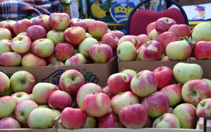 яблоки, апорт