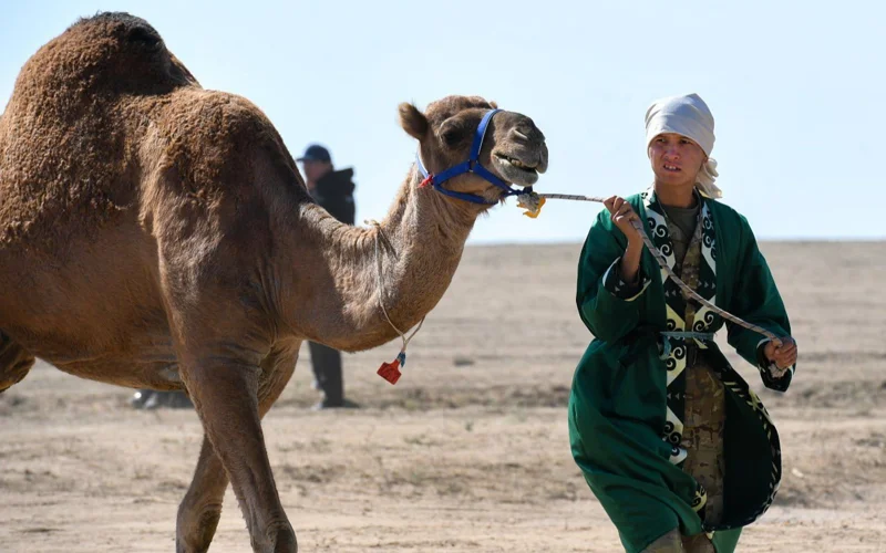 Ормандағы семіз әйелдермен порно Ава Дейвин лесбиянкалық порно