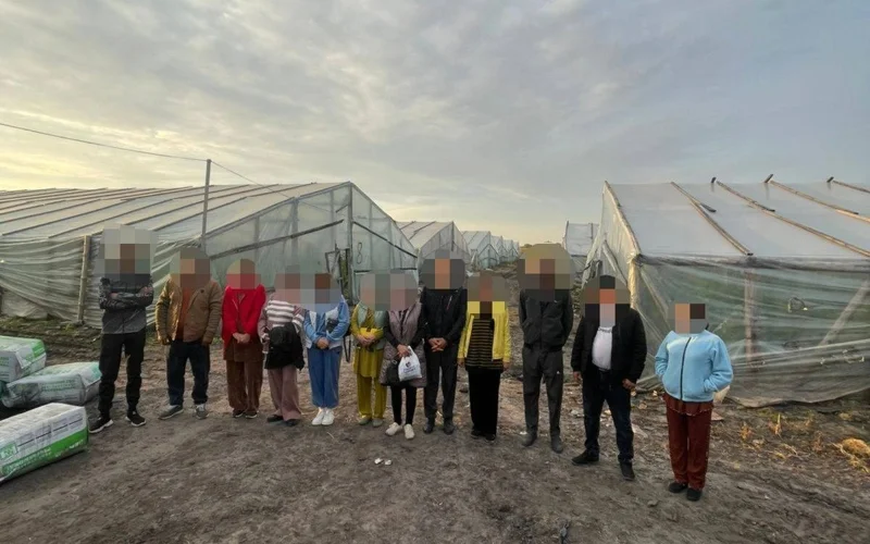 Ýkraınada eńbek quldyǵynda bolǵan 13 ózbekstandyq bosatyldy 