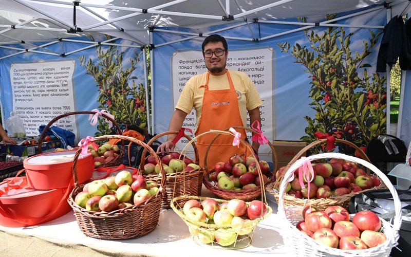 Alma Fest-2025 соберет до 100 тысяч гостей в День города Алматы