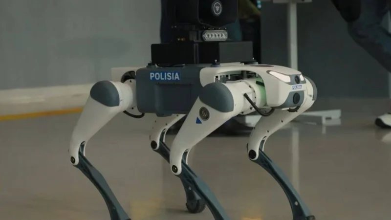 собаки-роботы