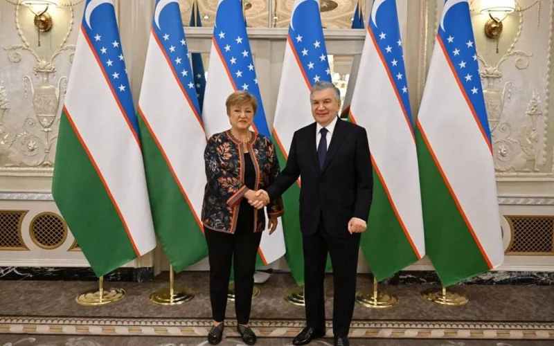 President of Uzbekistan calls for expansion of partnership with IMF