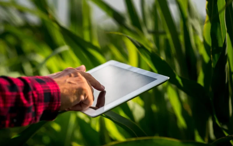 Kazakh PM calls for broader use of digital tools in agro-industry