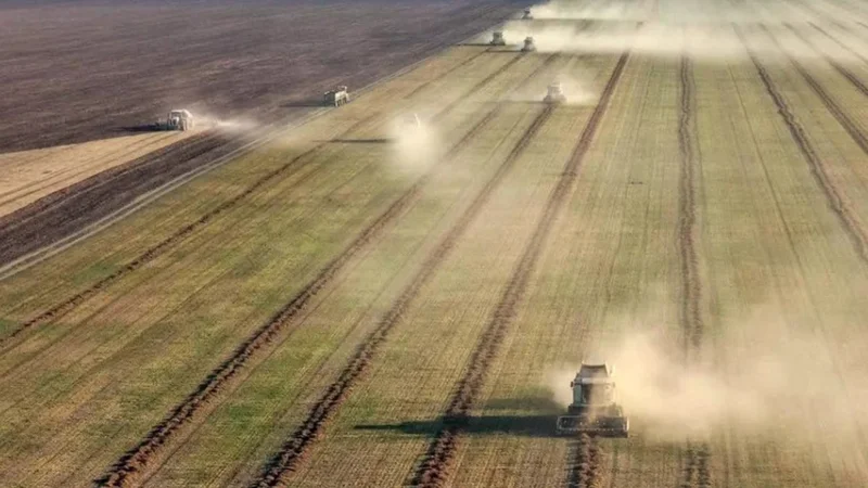 Kazakhstan forecasts record oilseed yield of 4 mln tons