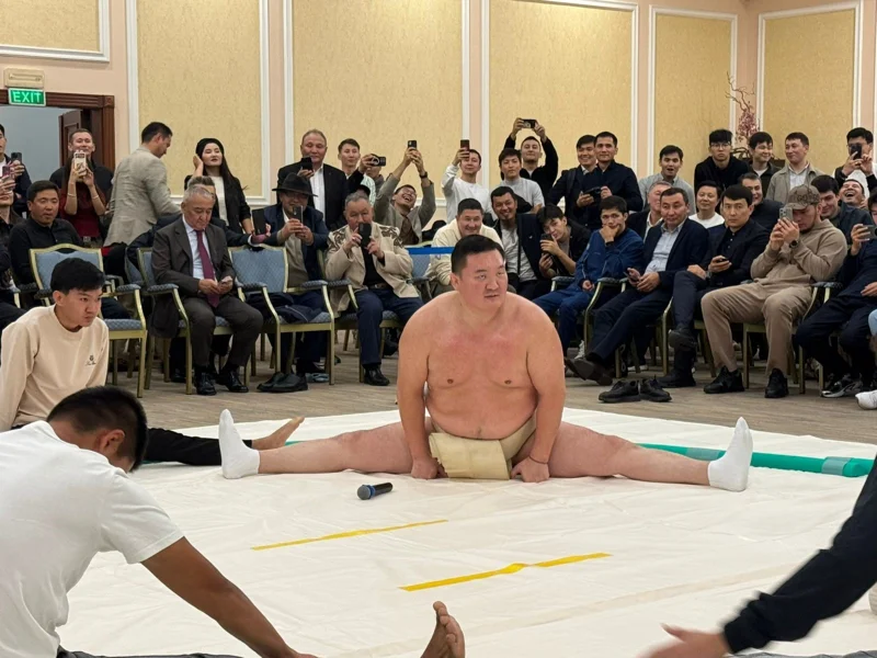 Sumo