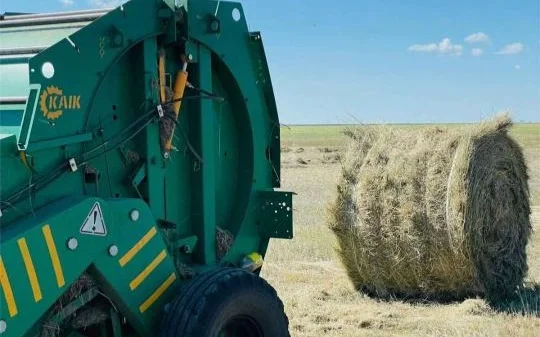 В Казахстане заготовлено 31,1 млн тонн кормов