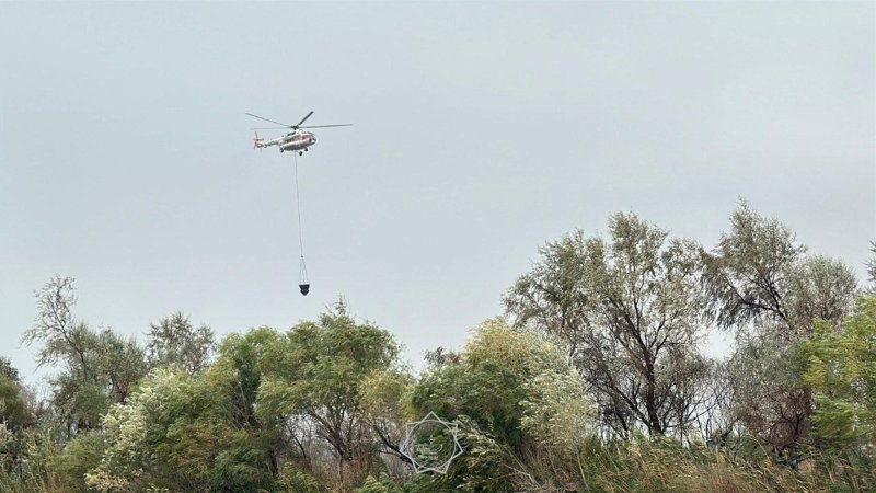 пожар в Алтын Эмель пожар в Алтын Эмель