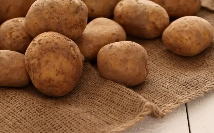 Kazakhstan’s potato crop expected to hit 2.7 mln tons