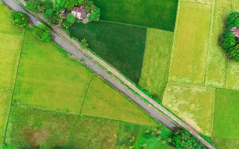 рақамли ер харитаси рақамли ер харитаси