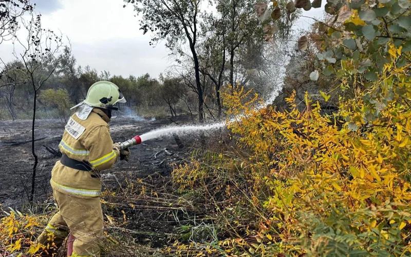 пожар в Алтын Эмель