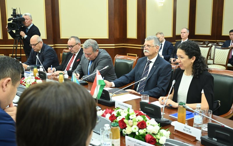 Спикер Мажилиса встретился с&nbsp;председателем Государственного собрания Венгрии