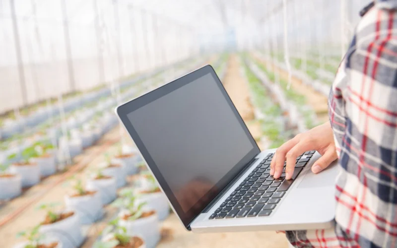 В Алматинской области запустили пилотную цифровую систему контроля за семенами